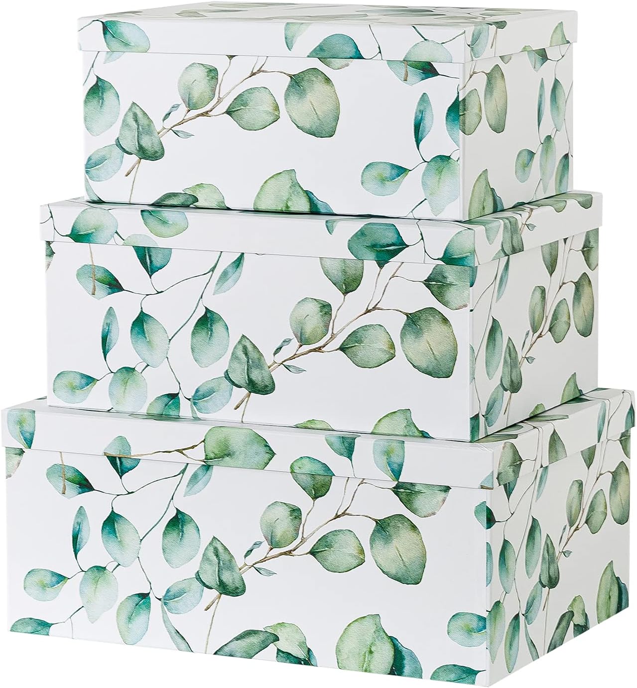 Eucalyptus Leaves Cardboard Boxes